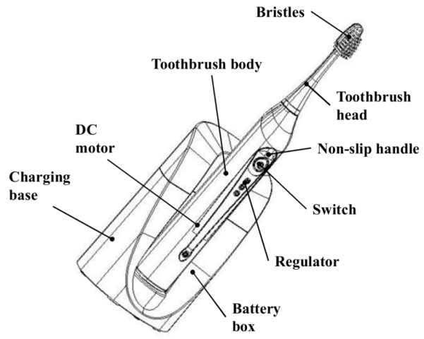 Electric Toothbrush Parts